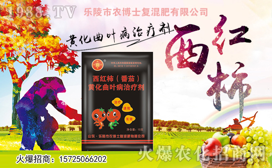 �������r(n��ng)��ʿ��ף������µ�һ������w�������f��������