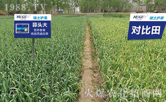 瑞士護果國際集團有限公司