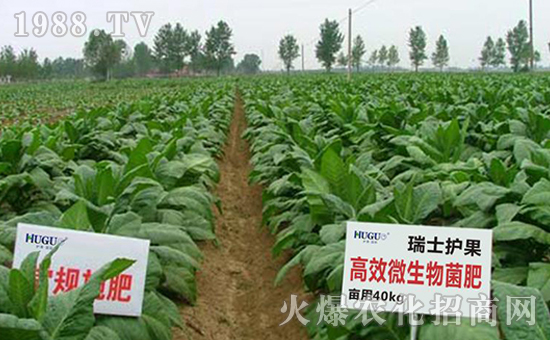 瑞士護果國際集團有限公司