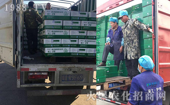 瑞士護果國際集團有限公司