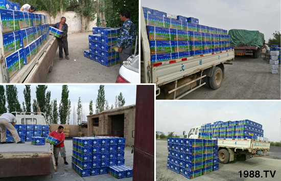 瑞士護果國際集團有限公司