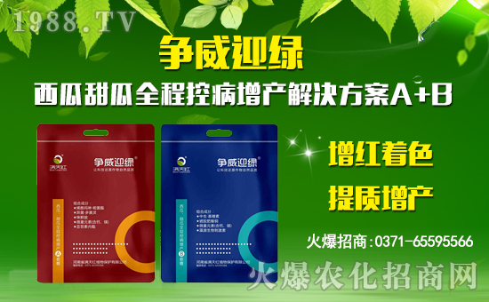 【滿天紅植物】祝大家在新的一年里身體健康,萬(wàn)事如意!