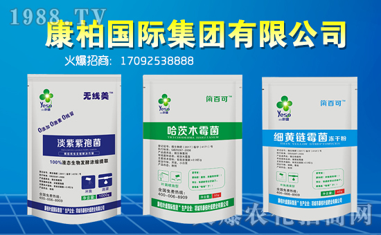 �����؇�(gu��)�H��ף��һ·�������т�?c��)��µ�һ�����Ҹ����M(m��n)���H�Қg��(l��)��