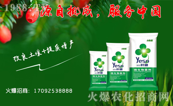 �����؇�(gu��)�H��ף��һ·�������т�?c��)��µ�һ�����Ҹ����M(m��n)���H�Қg��(l��)��