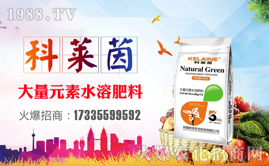 【歐特農(nóng)業(yè)】祝大家在新的一年里大展宏圖、闔家幸福!