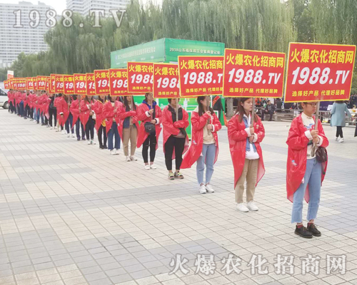     �R�������������2018��24��ɽ�|��(j��)��ֲ���p����(hu��)��