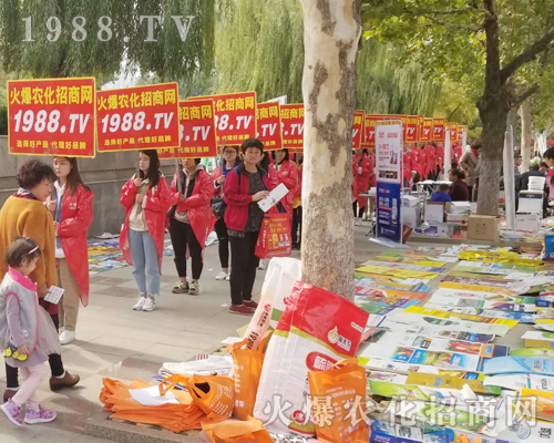     2018ɽ�|ֲ���p�����ϻ��r(n��ng)���W(w��ng)�ľ�Ӣ����ͬ��푣�