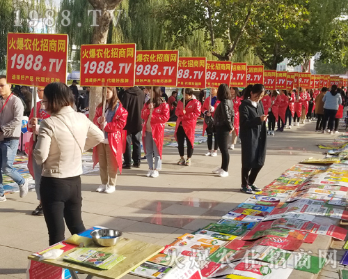     1988.TV���r(n��ng)�����̾W(w��ng)2018��(j��)��ֲ���������L(f��ng)����