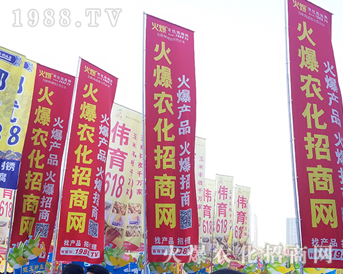 2018���������r(n��ng)ˎ��(hu��)��1988.TV����(zh��ng)***��