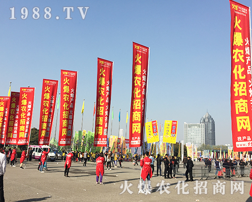     ��21�ú��������r(n��ng)ˎ��(hu��)�ϻ��r(n��ng)���W(w��ng)��Ӣ�ɳ�������(zh��n)��(j��)��