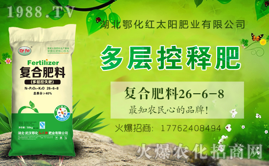 ���t̫�(y��ng)�ʘI(y��)��ףȫ��(gu��)�������µ�һ���﹤�����������������