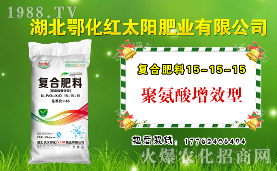 ���t̫�(y��ng)�ʘI(y��)��ףȫ��(gu��)�������µ�һ���﹤�����������������