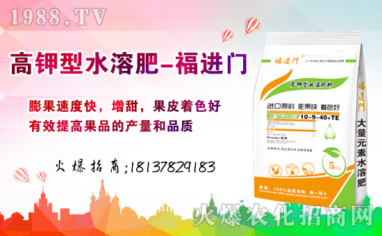 春節(jié)到,財神到!幸運之神伴隨著我的祝福到,新的一年更加珍重,明年生活錦上添花,福進門水溶肥祝福您新年大發(fā)!