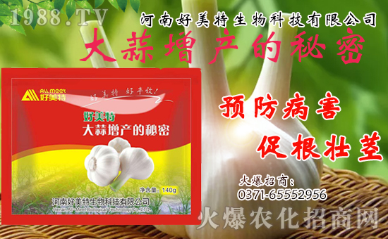 �����������ף������w�����������d�����H���Ҹ���