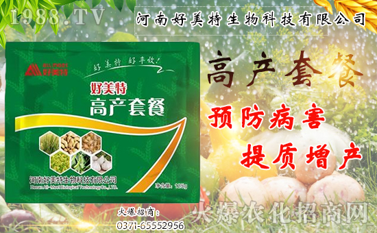 �����������ף������w�����������d�����H���Ҹ���