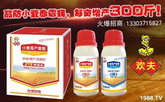 ���ϴ���r(n��ng)�I(y��)�l(f��)չ���޹�˾