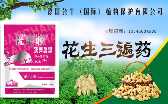 ������ţ��ף������µ�һ���﹤�����������������