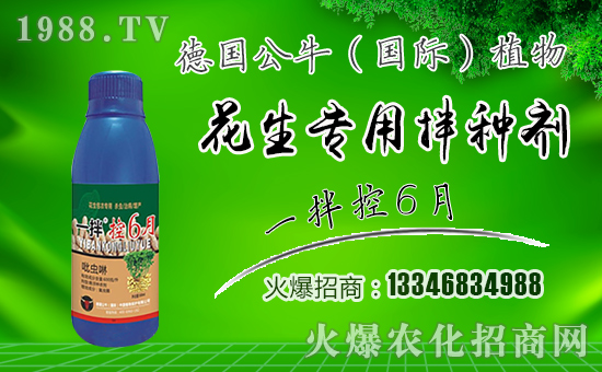 ����������ף������µ�һ���﹤�����������������