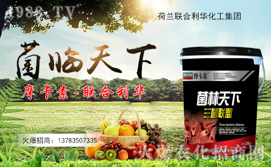 【聯(lián)合利華】祝大家在新的一年里身體健康,萬事如意!