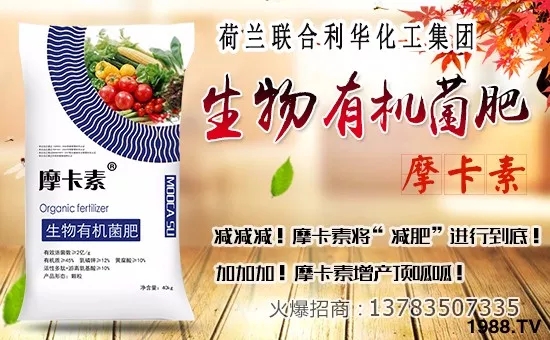 【聯(lián)合利華】祝大家在新的一年里身體健康,萬事如意!