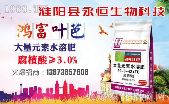 ���������ף������µ�һ���﹤�����������������