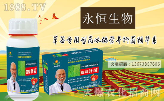 ���������ף������µ�һ���﹤�����������������