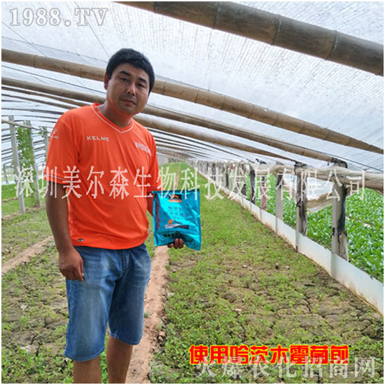 ������ɭ����������µ�һ�������w�����������³����f�����⣡