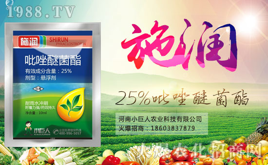 ��С�����r(n��ng)�I(y��)��ף������µ�һ���﹤�����������������