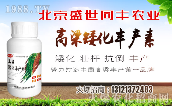 ��ʢ��ͬ�S��ףȫ�����ѹ���󼪣��f��������