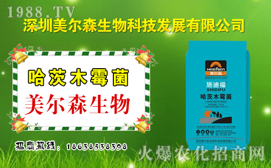 ������ɭ���ף������µ�һ�������w�����������³����f�����⣡