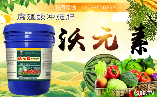 ���֠��D�r(n��ng)�I(y��)��ף������µ�һ�����´������f�����⣡