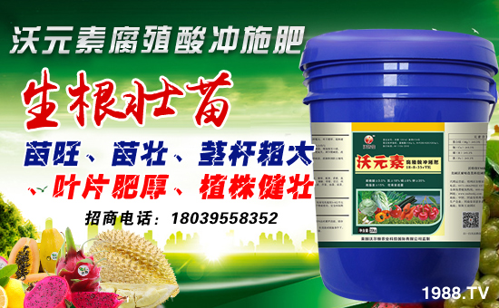 ���֠��D�r(n��ng)�I(y��)��ף������µ�һ�����´��󼪡��f��������