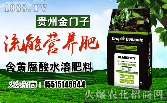 【貴州金門子】祝大家在新的一年里心想事成,萬事如意!