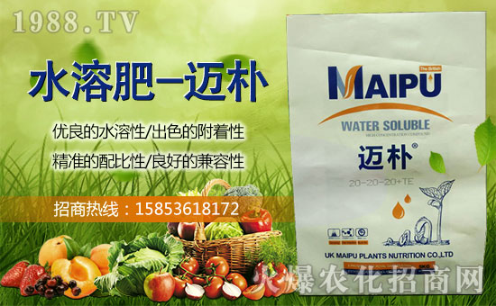 ��Ӣ���~��ֲ�ףȫ���������w�������f��������