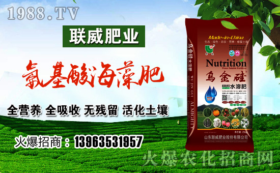 【聯威肥業(yè)】祝大家在新的一年里工作順利,步步高升!
