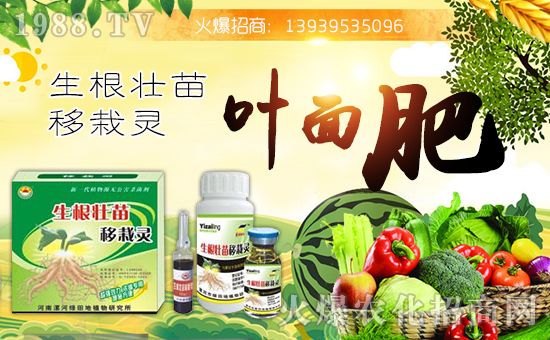 【綠田地植物】祝大家在新的一年里身體健康,萬事如意!