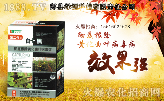 ���GԴ�Ƽ���ף������µ�һ�������w�����������³����f��������