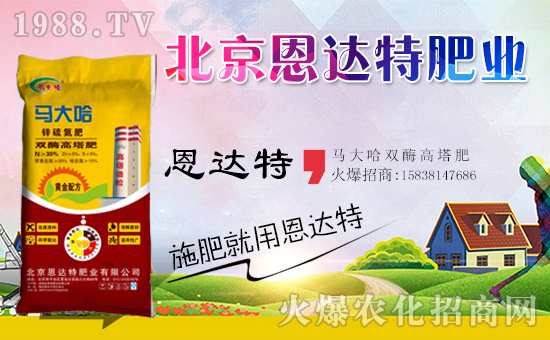 �����_(d��)�طʘI(y��)��ף���g�gϲϲӭ�������f������ƽ������