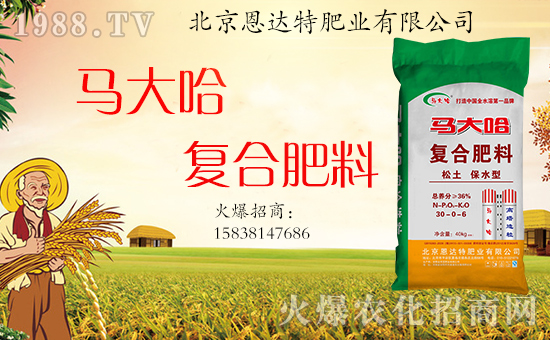 �����_(d��)�طʘI(y��)��ף���g�gϲϲӭ���꣬�f������ƽ������