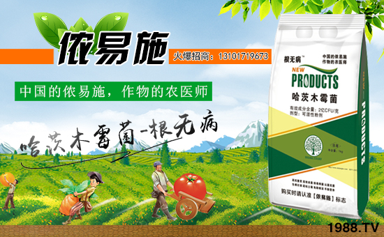 ���Ї�(gu��)���z��ʩ��ȫ�w�T����ף�V������͑�����옷(l��)���f(w��n)�����⣡