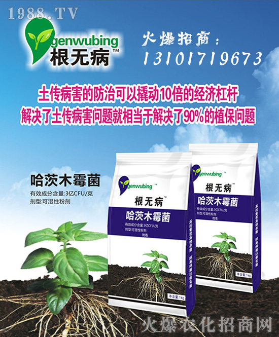 ���Ї�(gu��)���z��ʩ��ȫ�w�T����ף�V������͑�����옷(l��)���f(w��n)��������