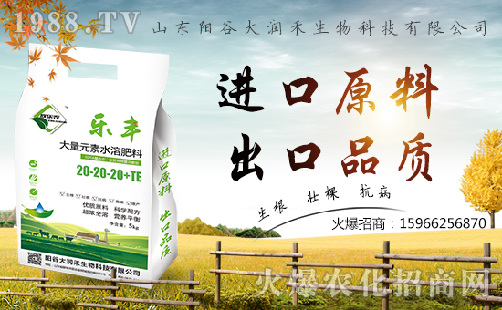 ���󝙺����ףȫ����(j��ng)�N������A�M�������������������