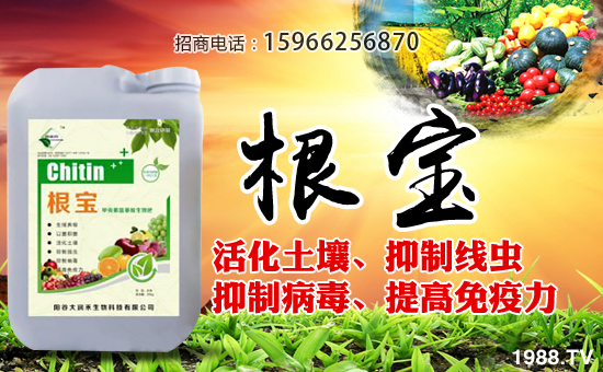 ���󝙺����ףȫ����(j��ng)�N������A�M�������������������