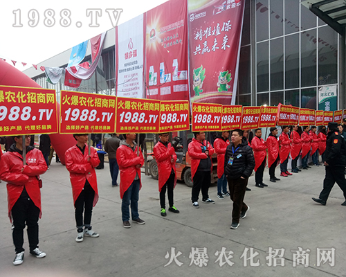 要想火就找我，1988.TV重磅出擊2018河北植保會！