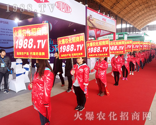 2018�ӱ�ֲ�������r���˾����I(y��)�I(y��)���������ɿ�