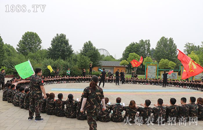 十年火爆,共創(chuàng)輝煌