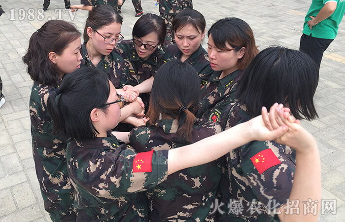 十年磨礪創(chuàng)佳績 使命必達(dá)為初心