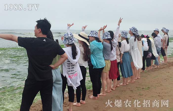 紅瓦綠樹、碧海藍天;玩沙戲水,放飛自我!