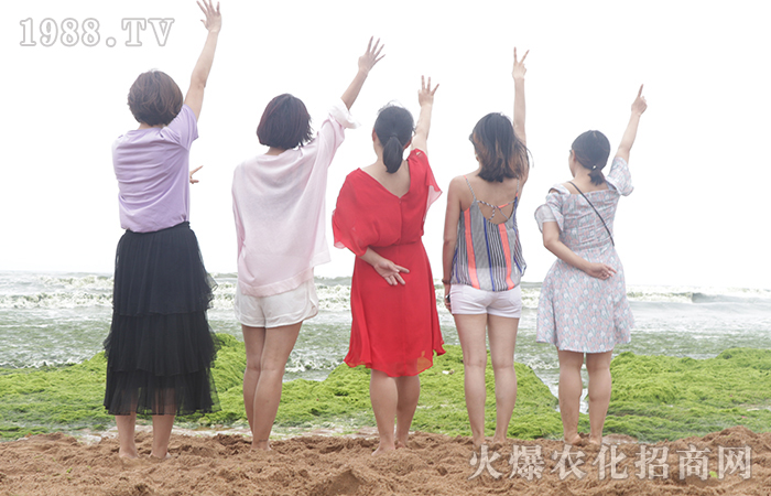 炎炎夏日 魅力青島行