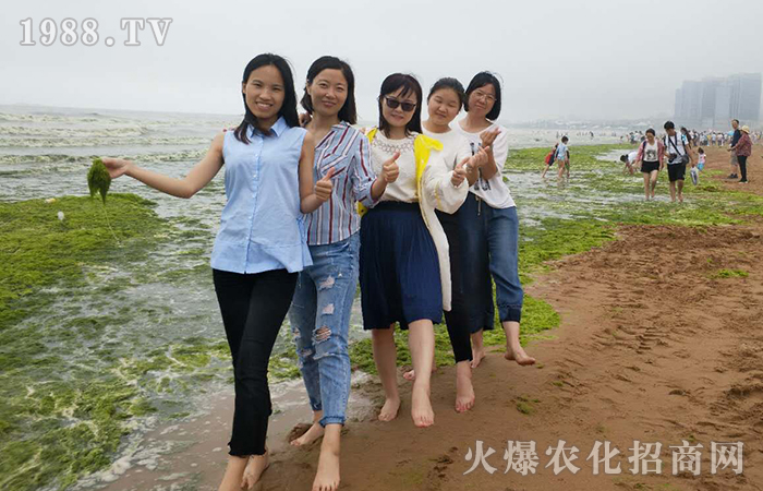 享受青島魅力之美,品讀經(jīng)典歷史文化精髓!